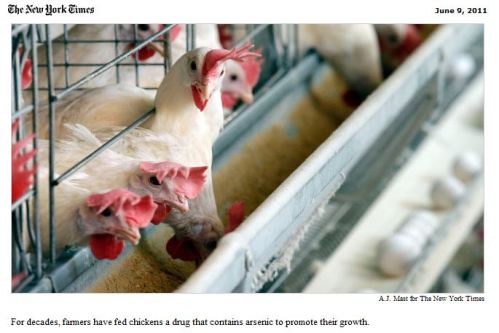 Pfizer Suspends Sales of Chicken Drug With Arsenic